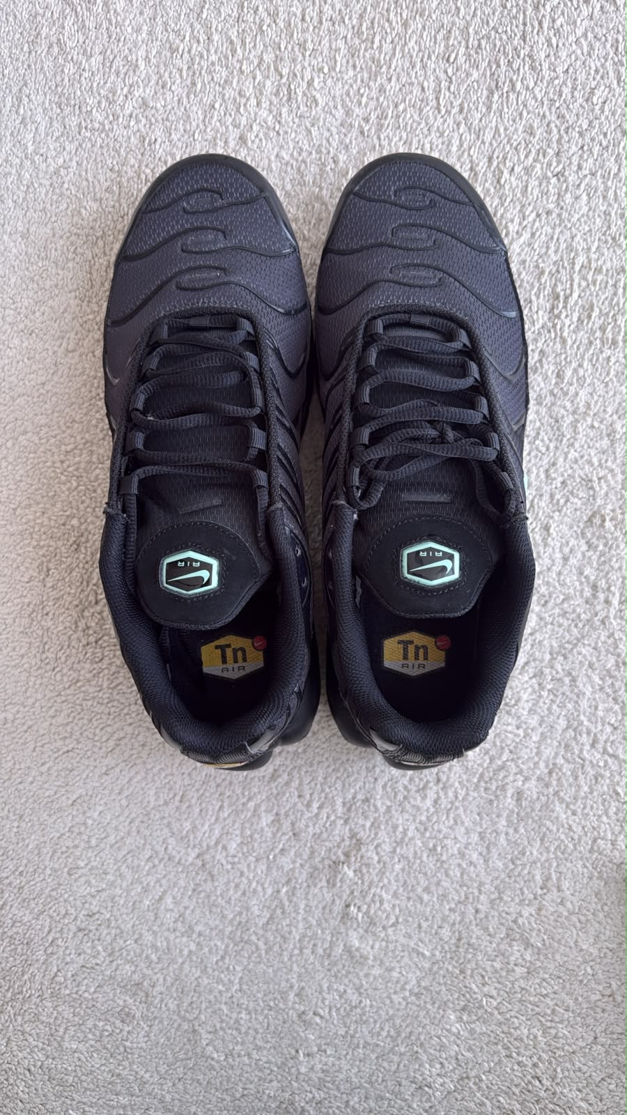 Nike Air Max Plus TN Black & Mint – Size EU 43