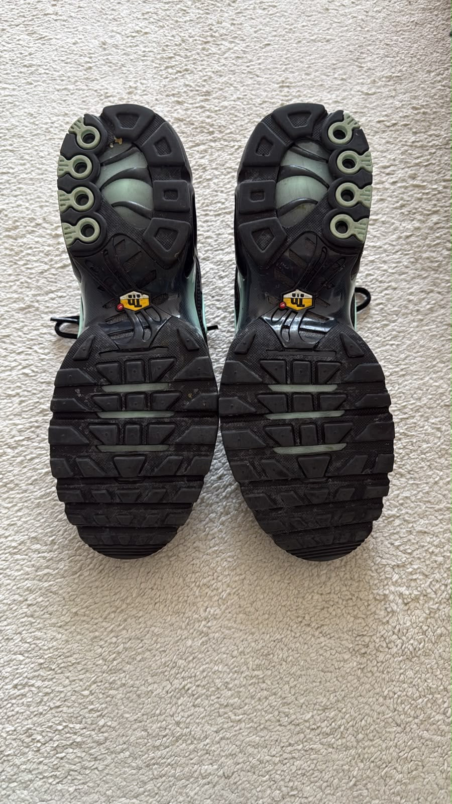 Nike Air Max Plus TN Black & Mint – Size EU 43